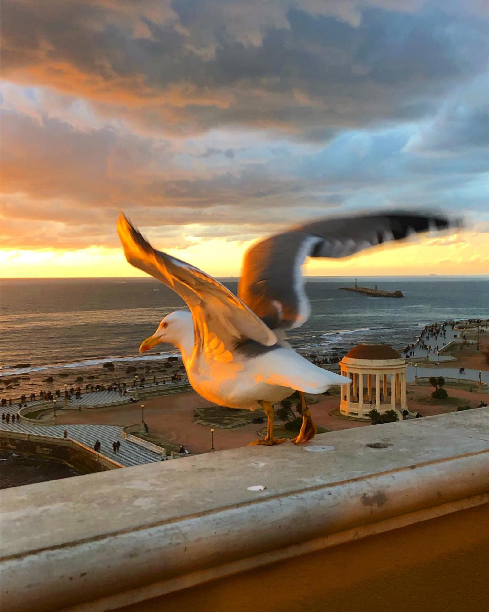 Livorno Apartment מראה חיצוני תמונה