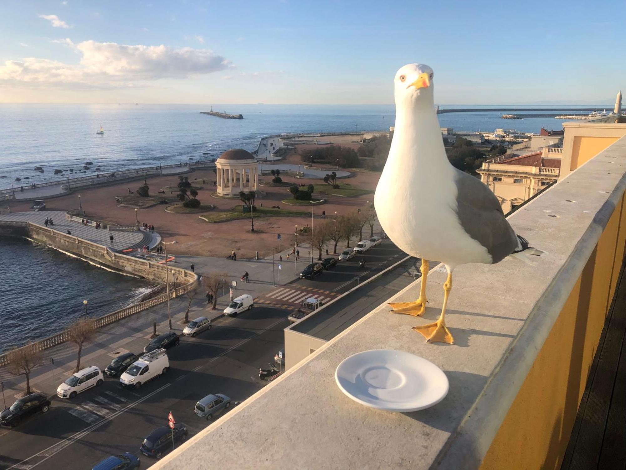 Livorno Apartment מראה חיצוני תמונה